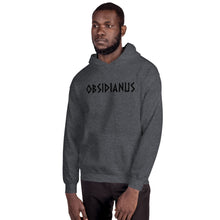 Load image into Gallery viewer, Limited Edition GLADIATOR Hoodie
