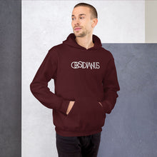 Load image into Gallery viewer, Obsidianus Hoodie
